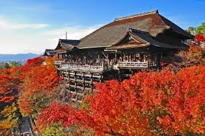 京都 観光 おすすめ コース 1日