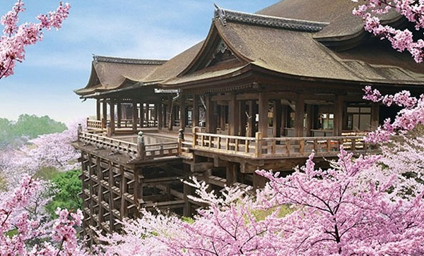 京都 観光 おすすめ コース 清水寺