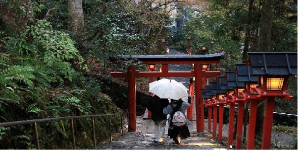 京都 観光 おすすめ スポット